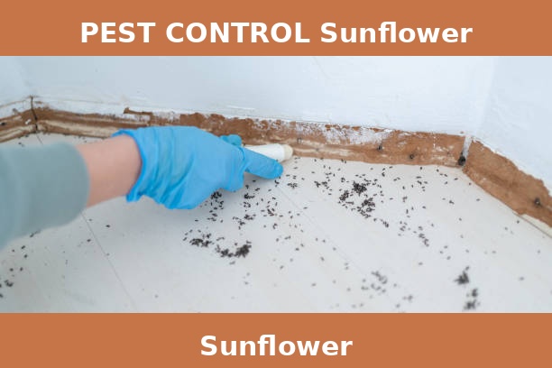 PEST CONTROL Sunflower